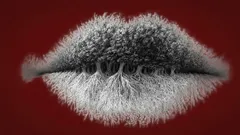 Cosa noti per prima nell’immagine? Scopri se sei introverso, estroverso o ambiverso.